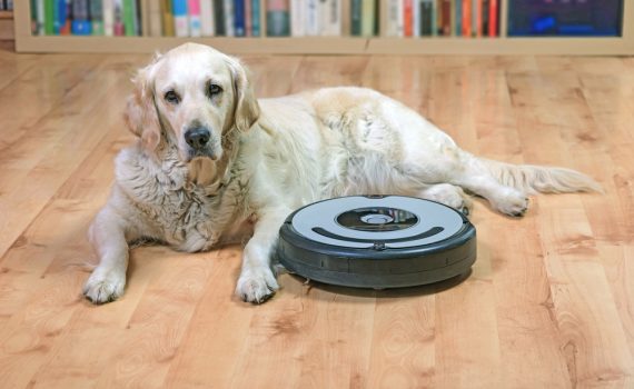 Best Robot Vacuum For Pets