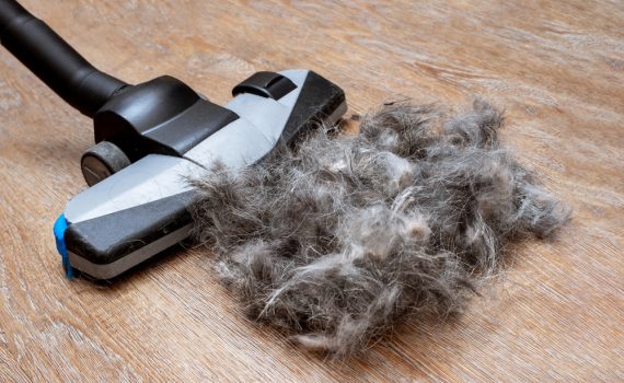 Best Pet Hair Vacuums