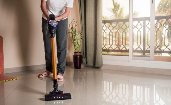 Best Cordless Vacuums For Pet Hair