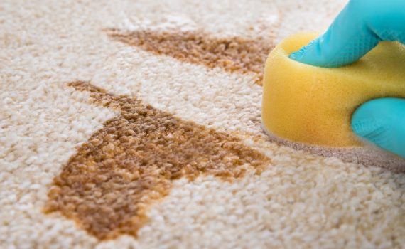 Carpet Cleaning Tips For Homeowners