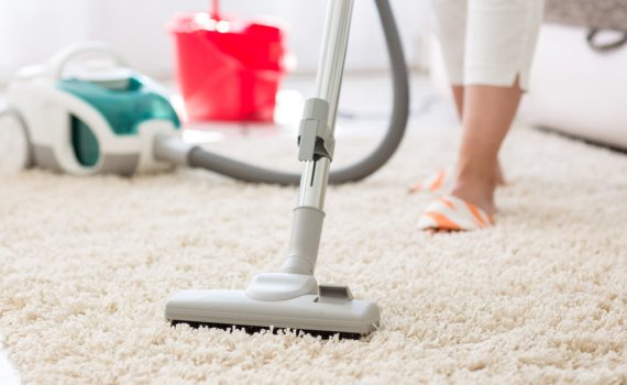 Best vacuum for fleas