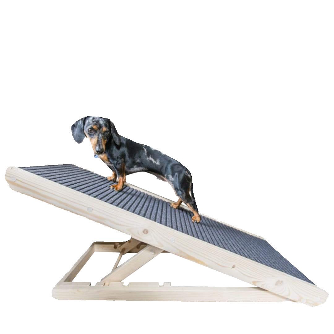 puppy ramp