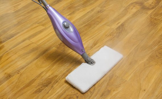 best-steam-mop