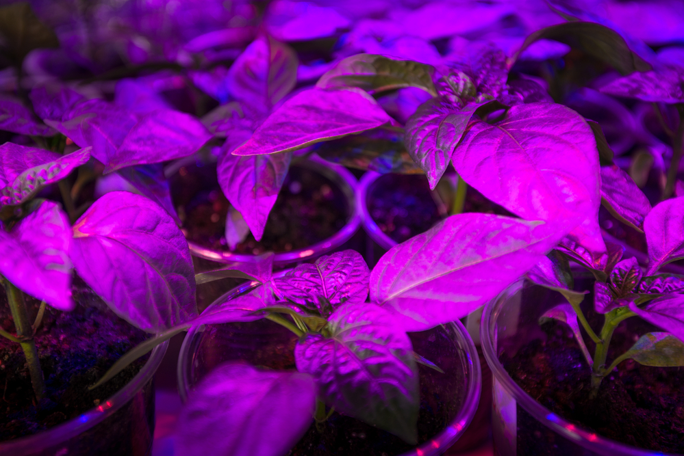 How to make a grow box How to make a grow box